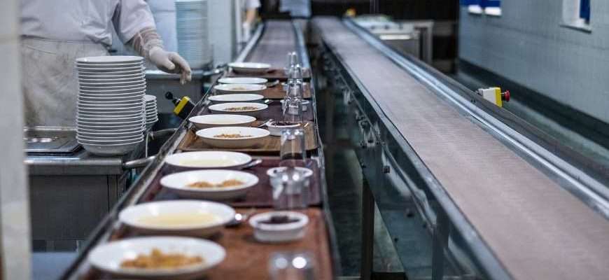 Prevención de cucarachas en restaurantes de Bizkaia: por qué los métodos humanitarios funcionan mejor que el veneno 13 Prevención de cucarachas en restaurantes de Bizkaia: por qué los métodos humanitarios funcionan mejor que el veneno